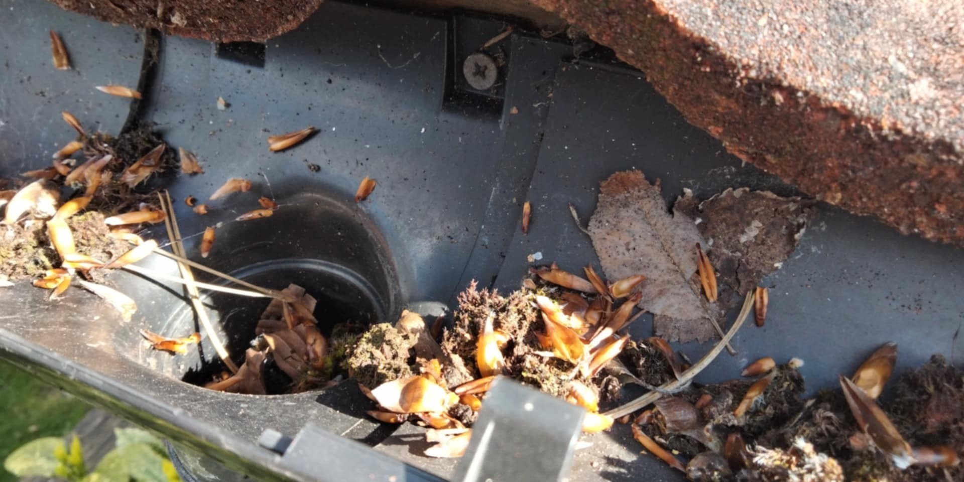 Gutter Cleaning